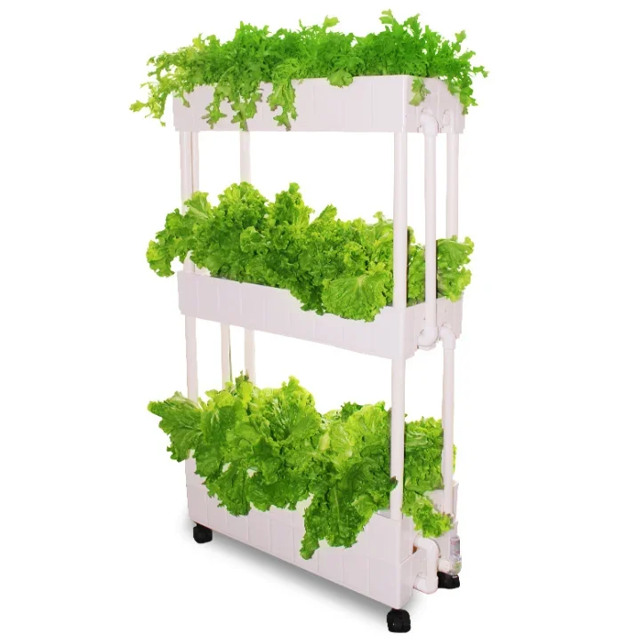 Hydroponic Farming Agriculture - カスタマイズ農業 水耕栽培ラック 垂直型屋内栽培 レタス栽培用