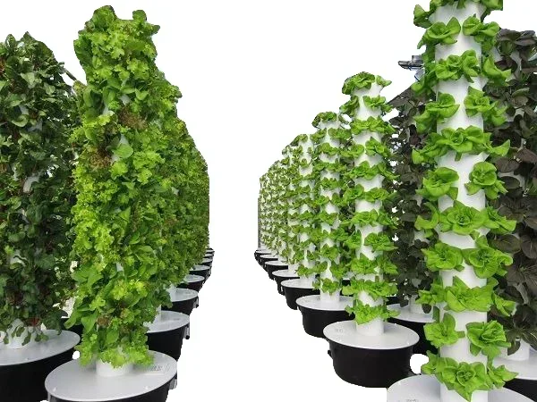 農業用温室 垂直農業 エアロポニックスシステム 水耕栽培タワ - Hydroponic Farming Agriculture のレビューと価格
