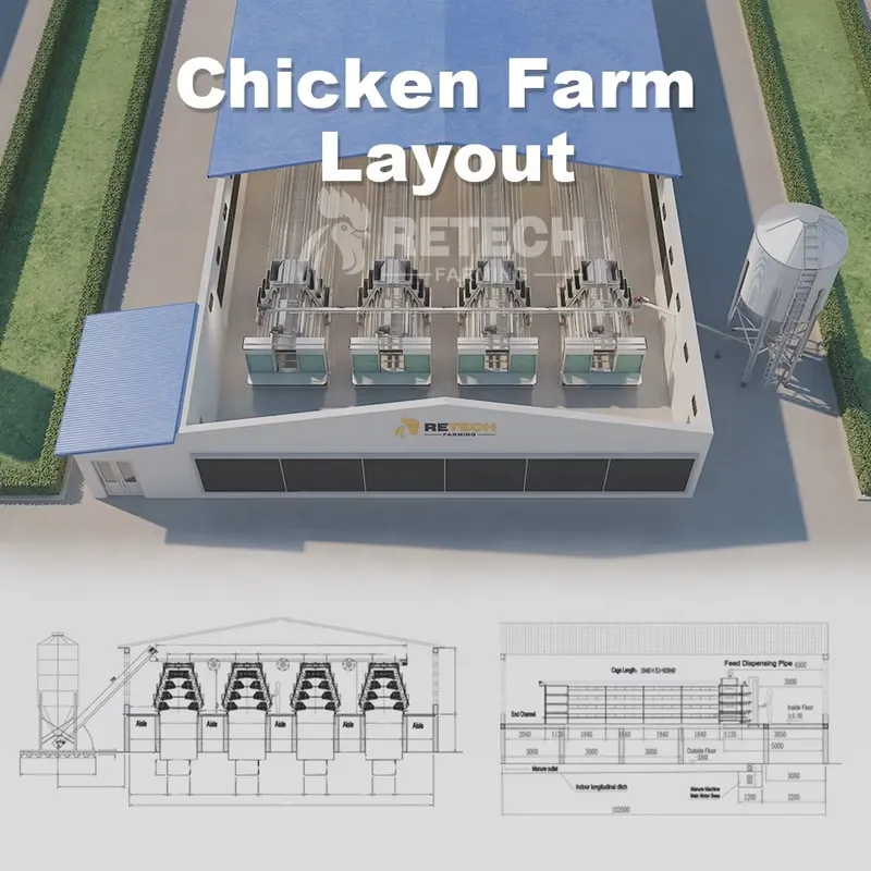 自動鶏舎ケージAタイプ溶融亜鉛メッキ鋼鉄製アフリカ農場向け養 - Farming Africa のレビューと価格