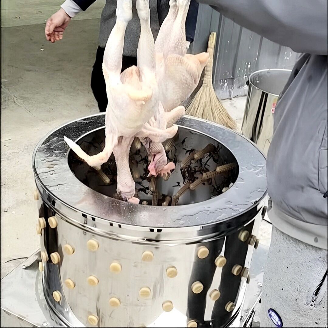 養鶏場用家禽脱毛機、アフリカ市場向け鶏毛抜き機、アヒルと七面 - Farming Africa のレビューと価格