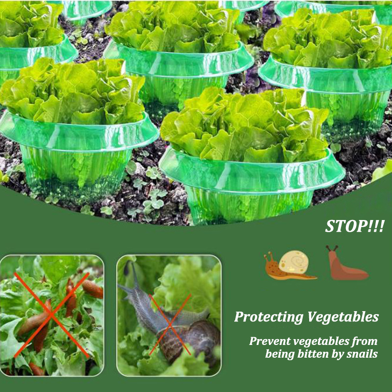 5-25 個植物ナメクジ保護リンググリーンプランターフラワー - Vegetable Transplanter のレビューと価格