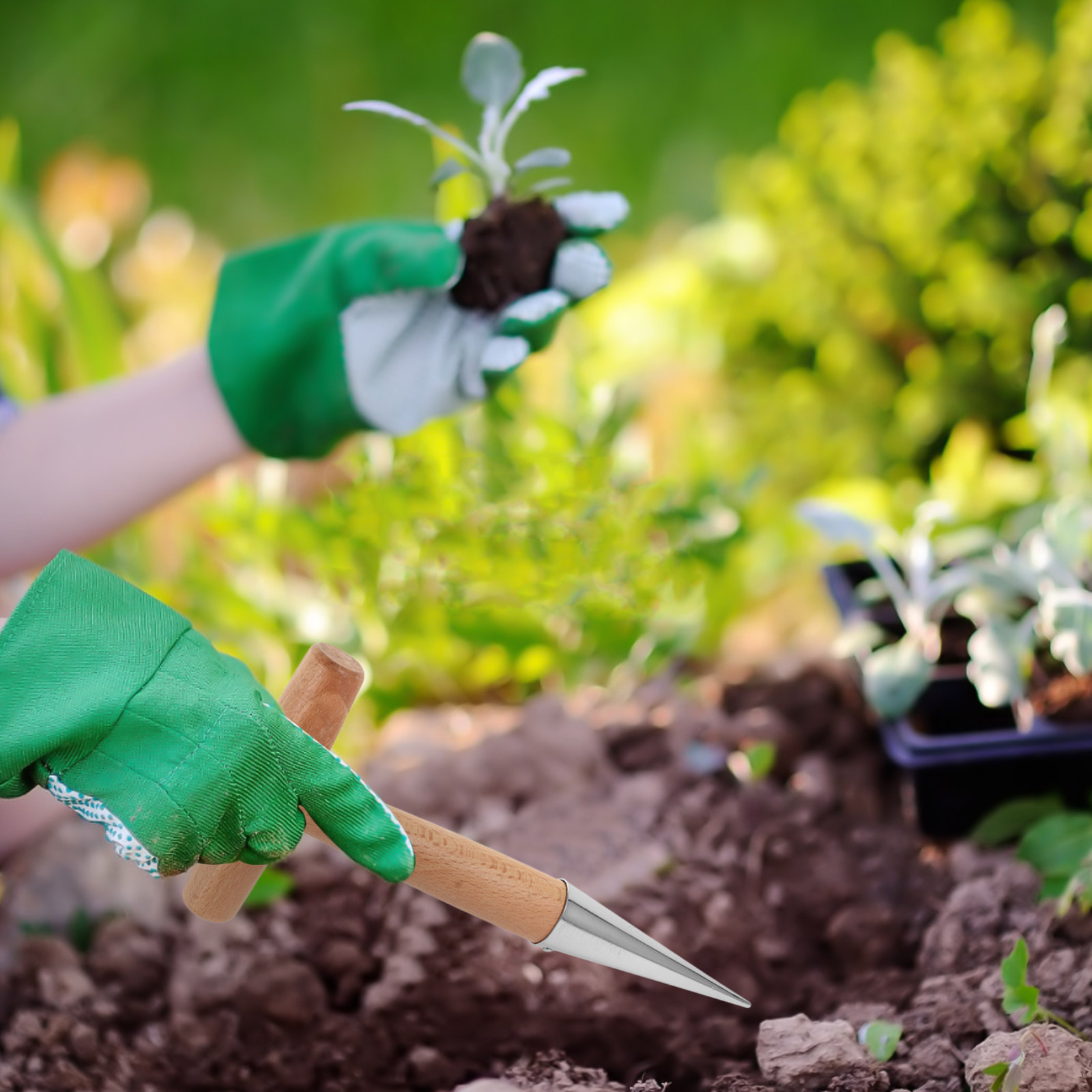 2個入り ステンレス製 木製ハンドル付き 植栽用ドリル ガー - Vegetable Transplanter のレビューと価格