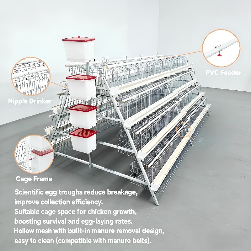   鶏舎ニューアフリカA型バッテリーケージ（採卵鶏用）溶融亜 - Farming Africa のレビューと価格