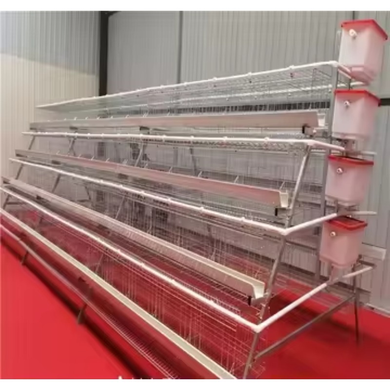   鶏舎ニューアフリカA型バッテリーケージ（採卵鶏用）溶融亜 - Farming Africa のレビューと価格