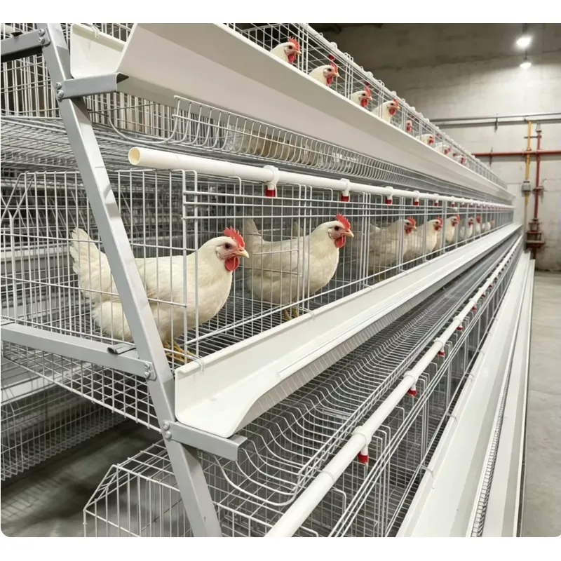 A型バッテリーケージフルセット、飼料トラフ、プラスチック製水 - Farming Africa のレビューと価格