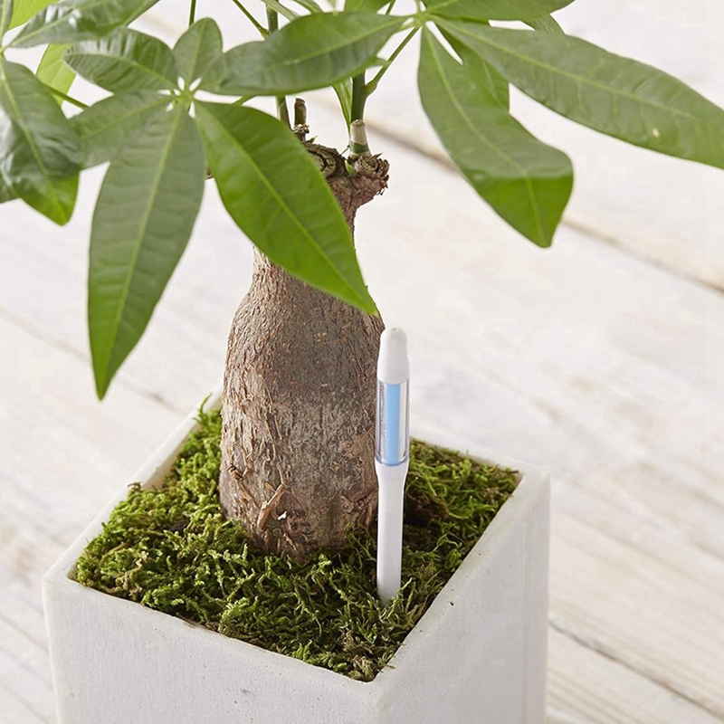 アクアメーター、5個入り、植物土壌水分センサー、室内植物土壌 - Soil Moisture Sensor のレビューと価格