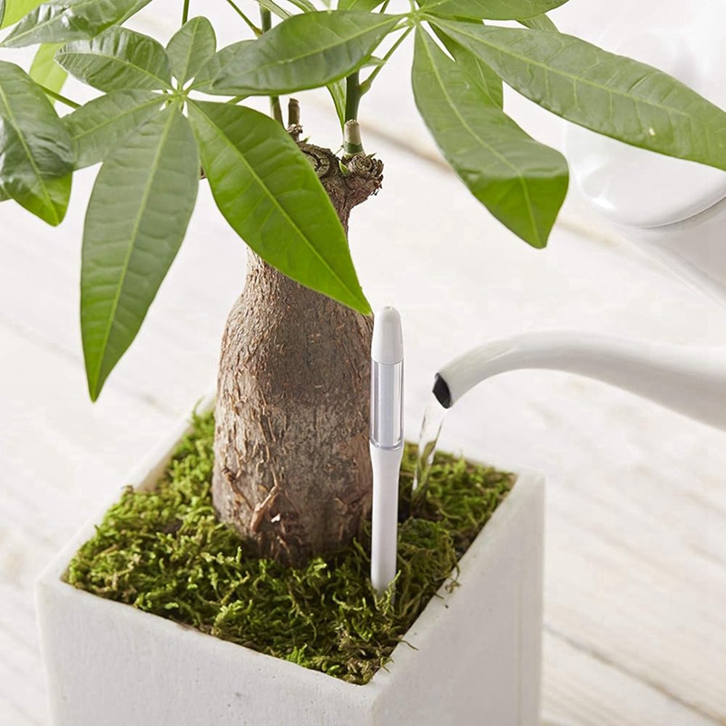 アクアメーター、5個入り、植物土壌水分センサー、室内植物土壌 - Soil Moisture Sensor のレビューと価格