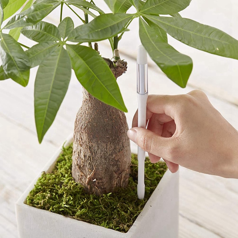 アクアメーター、5個入り、植物土壌水分センサー、室内植物土壌 - Soil Moisture Sensor のレビューと価格