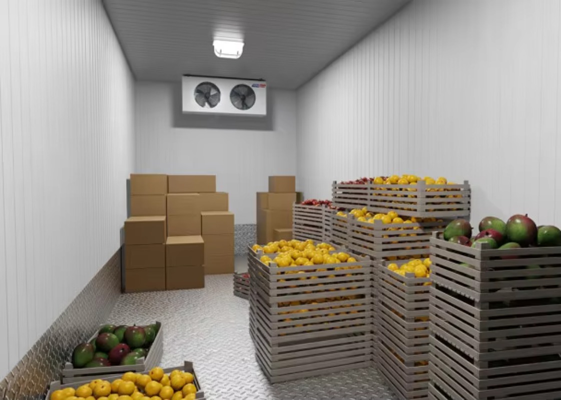 アフリカのオフグリッド農場用のソーラーウォーク式冷蔵室、果物 - Farming Africa のレビューと価格