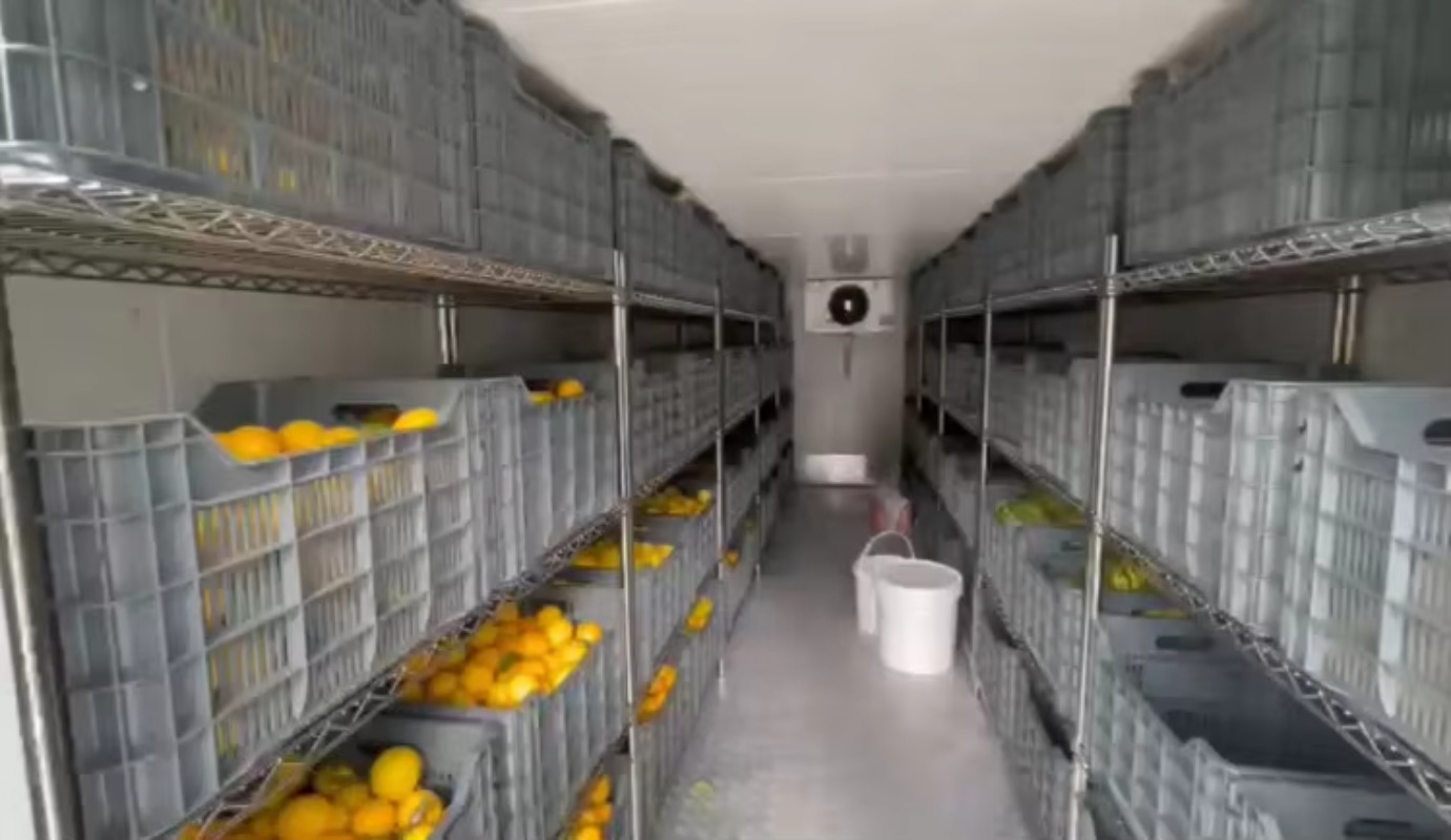 アフリカのオフグリッド農場用のソーラーウォーク式冷蔵室、果物 - Farming Africa のレビューと価格
