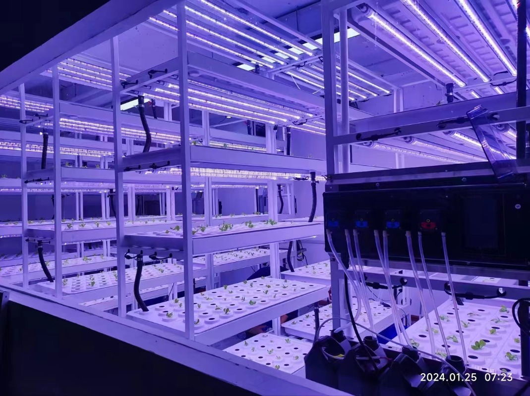 小型垂直水耕栽培タワーシステム 室内エアロポニック農業機器  - Hydroponic Farming Agriculture のレビューと価格