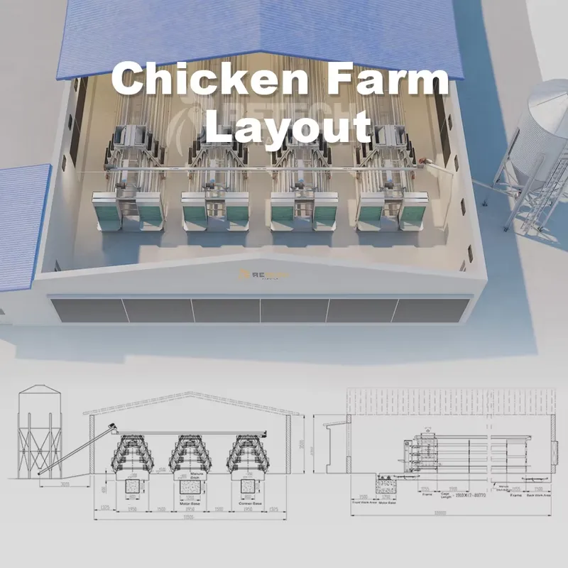 南アフリカ向け自動採卵鶏ケージ養鶏場鶏舎 - Farming Africa のレビューと価格