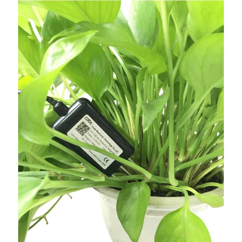 CDT-30B Rs485 0-2v 出力 植物土壌水分 E - Soil Moisture Sensor のレビューと価格