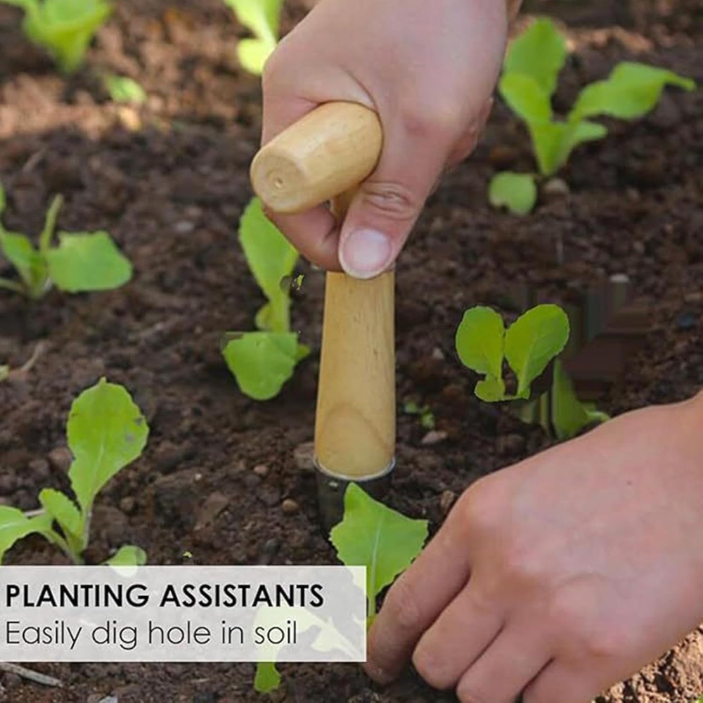 菜園苗移植機ステンレス鋼土壌穴あけ器ディバーツールポッティン - Vegetable Transplanter のレビューと価格