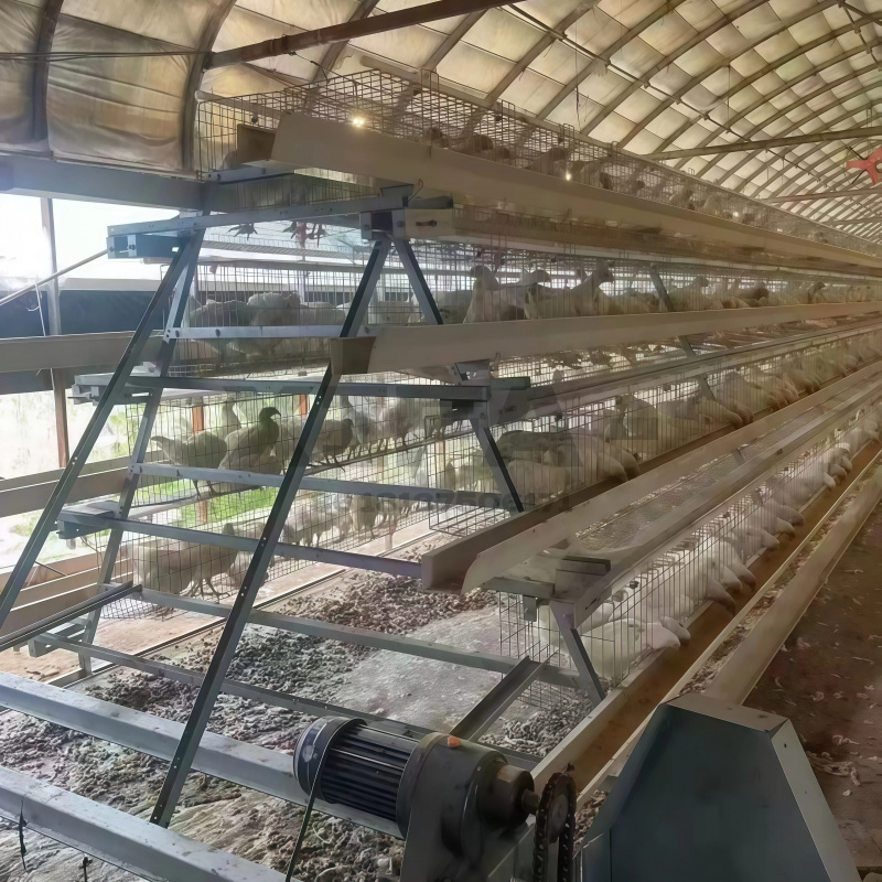 南アフリカの機械販売、アルミ製屋外鶏小屋（農場用） - Farming Africa のレビューと価格