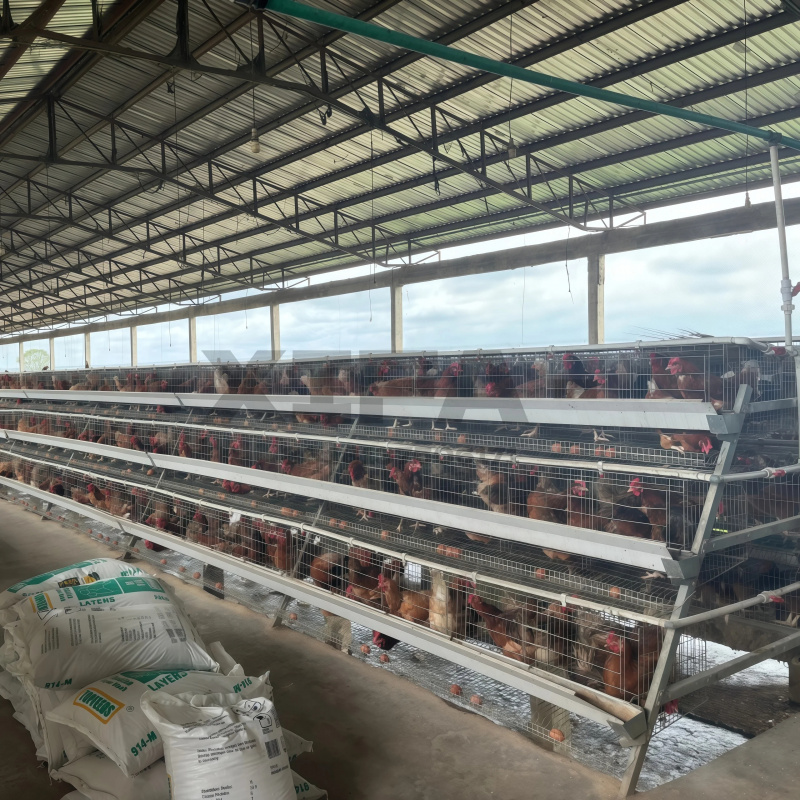 南アフリカの機械販売、アルミ製屋外鶏小屋（農場用） - Farming Africa のレビューと価格