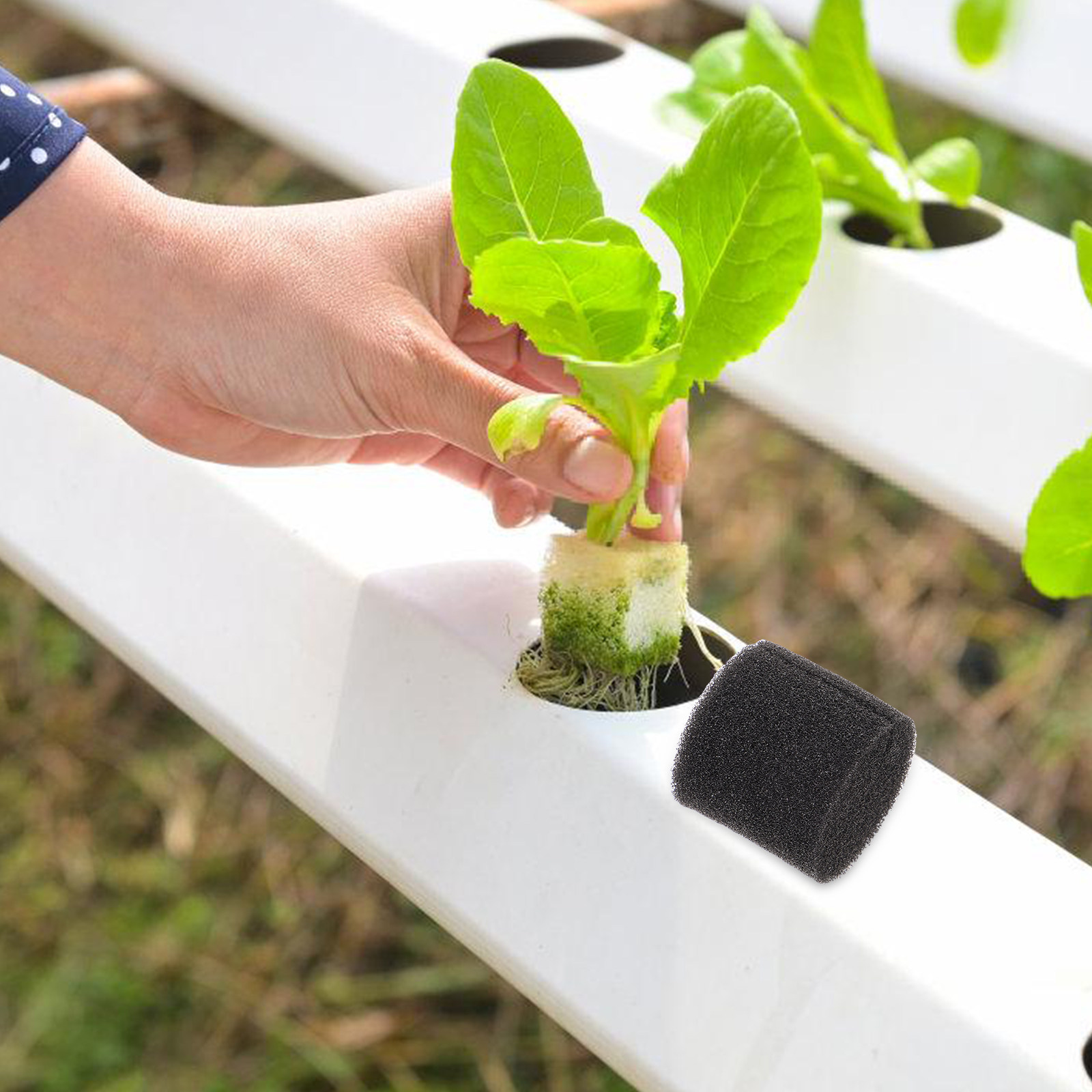 100 個の水耕栽培スポンジ培養培地、土を使わない栽培用、野 - Vegetable Transplanter のレビューと価格