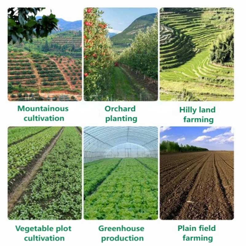 手押し式野菜播種機、多列精密播種機、ニンジン、玉ねぎ、キャベ - Vegetable Transplanter のレビューと価格