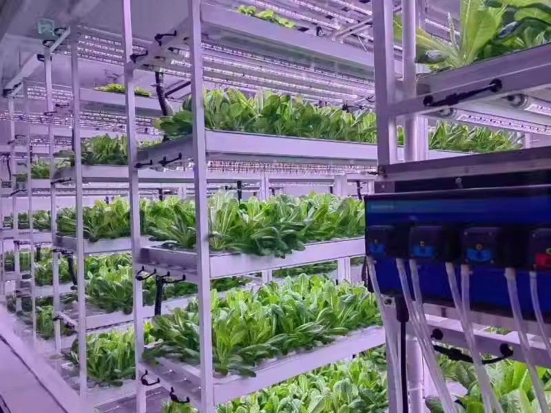 垂直農場水耕栽培タワーシステムエアロポニック栽培タワー屋内栽 - Hydroponic Farming Agriculture のレビューと価格