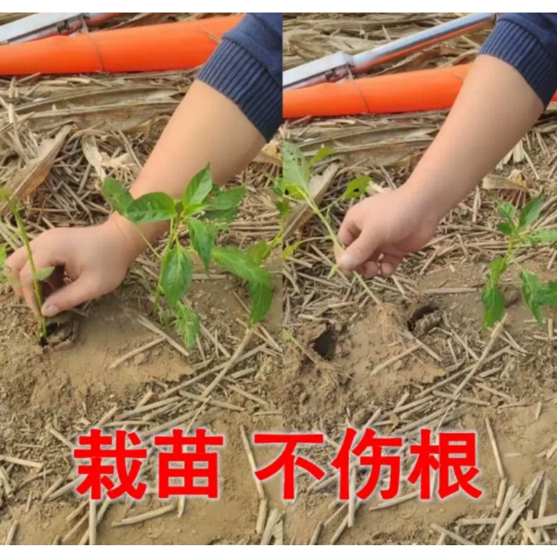 農業用苗移植機、トマトやピーマンの苗植え用園芸植栽ツール - Vegetable Transplanter のレビューと価格