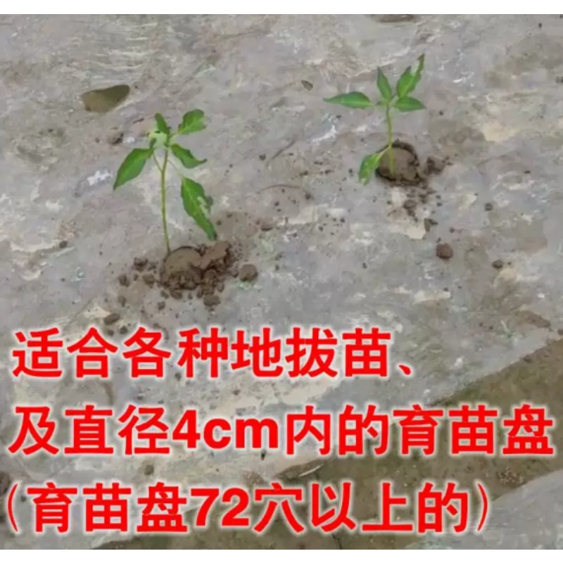 農業用苗移植機、トマトやピーマンの苗植え用園芸植栽ツール - Vegetable Transplanter のレビューと価格