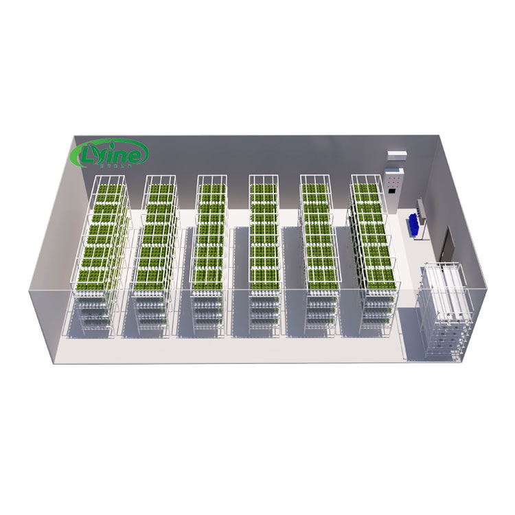 農業用温室 レタス NFT 水耕栽培システム 垂直水耕栽培ラ - Hydroponic Farming Agriculture のレビューと価格